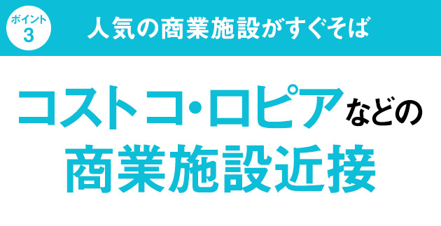 [ポイント3]人気の商業施設がすぐそば｜コストコ・ロピアなどの大型商業施設近接